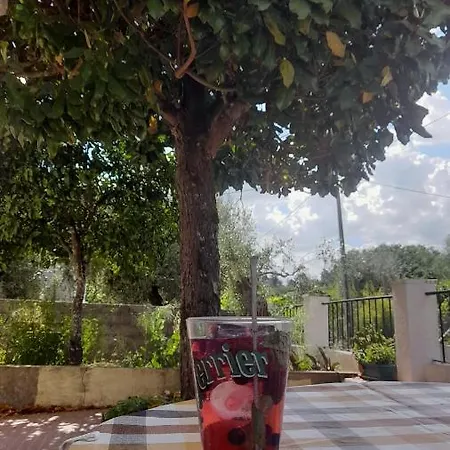 Casa Da Magnolia Hébergement de vacances *